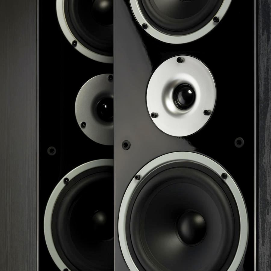 Wilson RAPTOR 9 Altoparlanti da pavimento 3 vie 220W (COPPIA) - TechSoundSystem.com