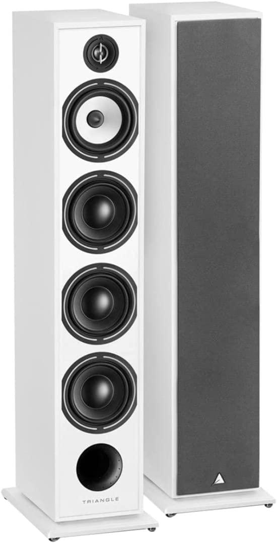 Triangle BR09 BOREA Coppia diffusori da pavimento 3 vie bass-reflex 170W - TechSoundSystem.com