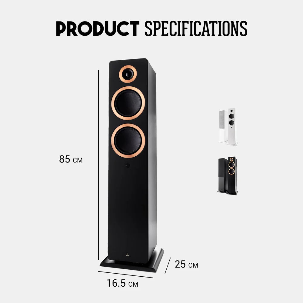 Argon Audio Forte A55 MK2 Diffusori attivi da pavimento 320W