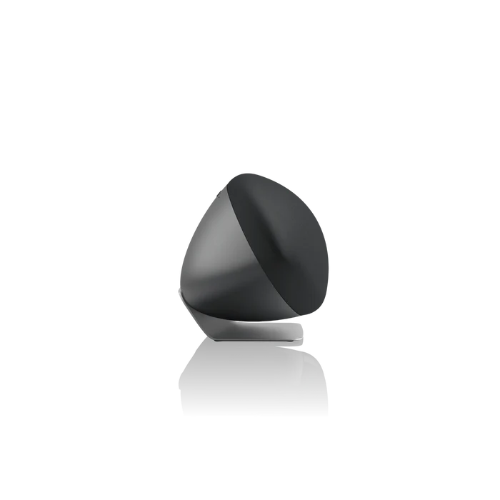 Bowers & Wilkins ZEPPELIN PRO EDITION - Diffusore wireless