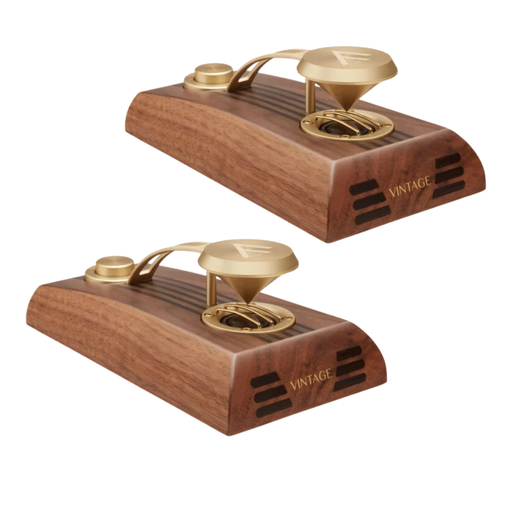 Fyne Audio SuperTrax coppia di supertweeter omnidirezionali time-aligned 25mm 8 Ohm 400W