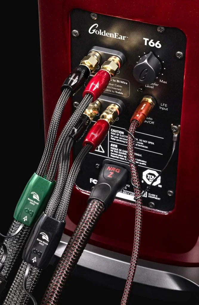 GoldenEar T66 Coppia diffusori da pavimento 3 vie full-range hi-end con subwoofer e radiatori passivi 500W