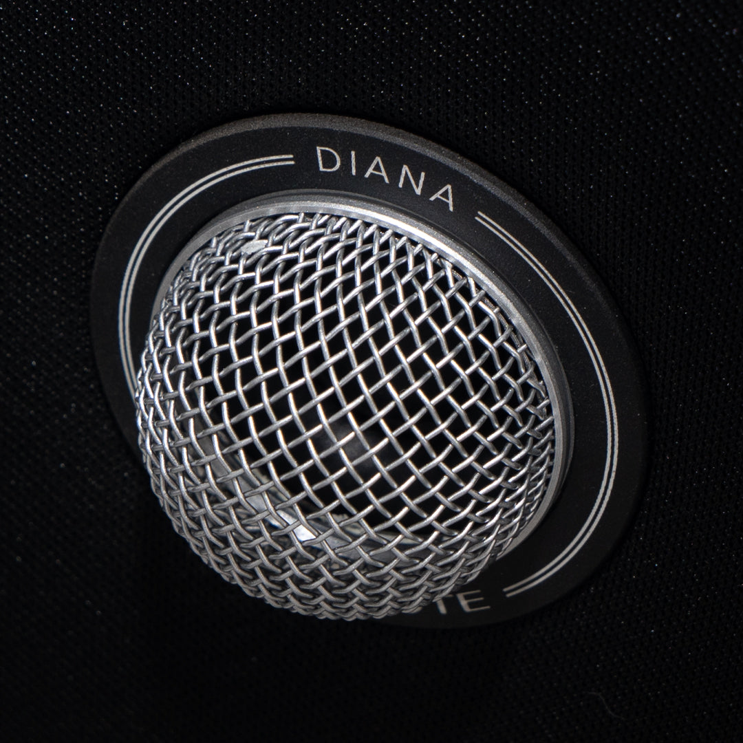 Gold Note DIANA II coppia diffusori da scaffale 2 vie bass-reflex 2 × 6,5” 8 ohm