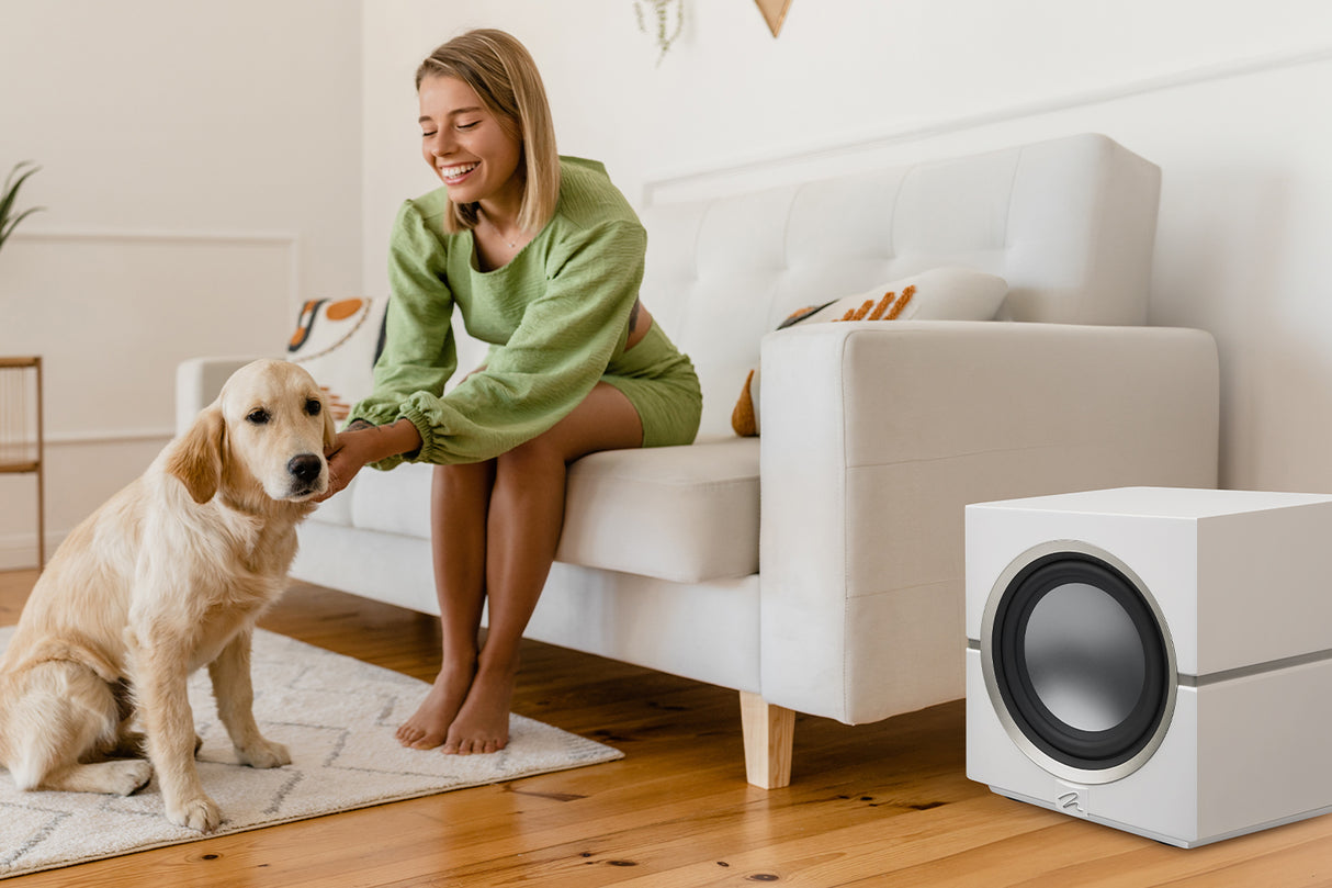 Martin Logan Dynamo 10 subwoofer attivo wireless 250mm 1000W