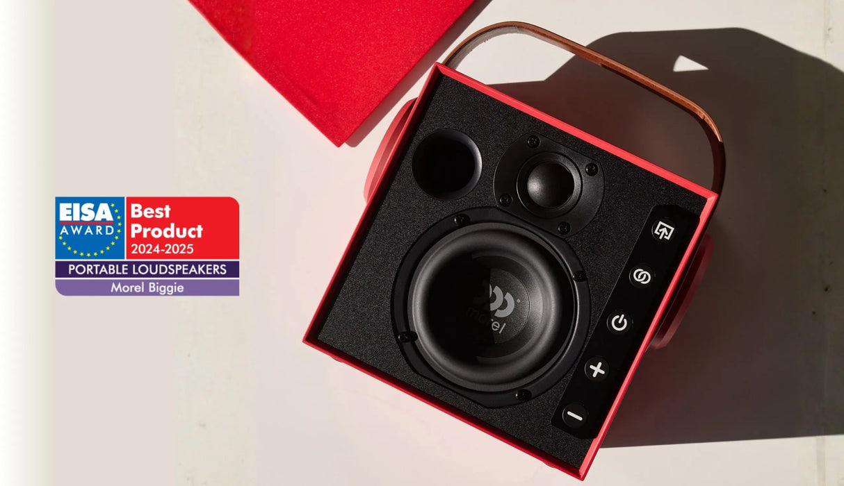 Morel BIGGIE diffusore Hi-fi portatile wireless da 100 mm