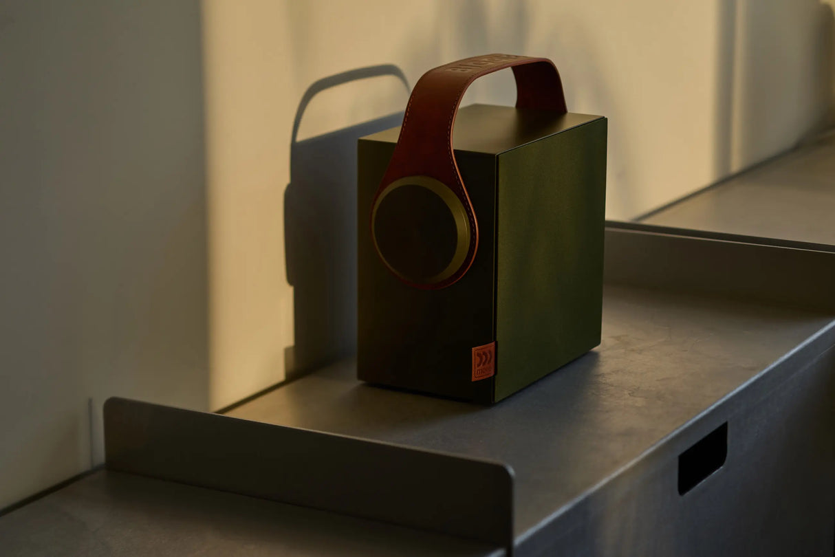 Morel BIGGIE diffusore Hi-fi portatile wireless da 100 mm
