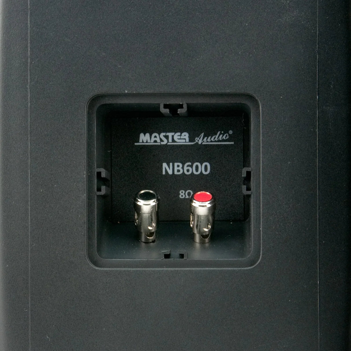 Master Audio NB600B Diffusori da esterno a 2 vie, woofer da 165mm Potenza Max 100 watt (coppia)