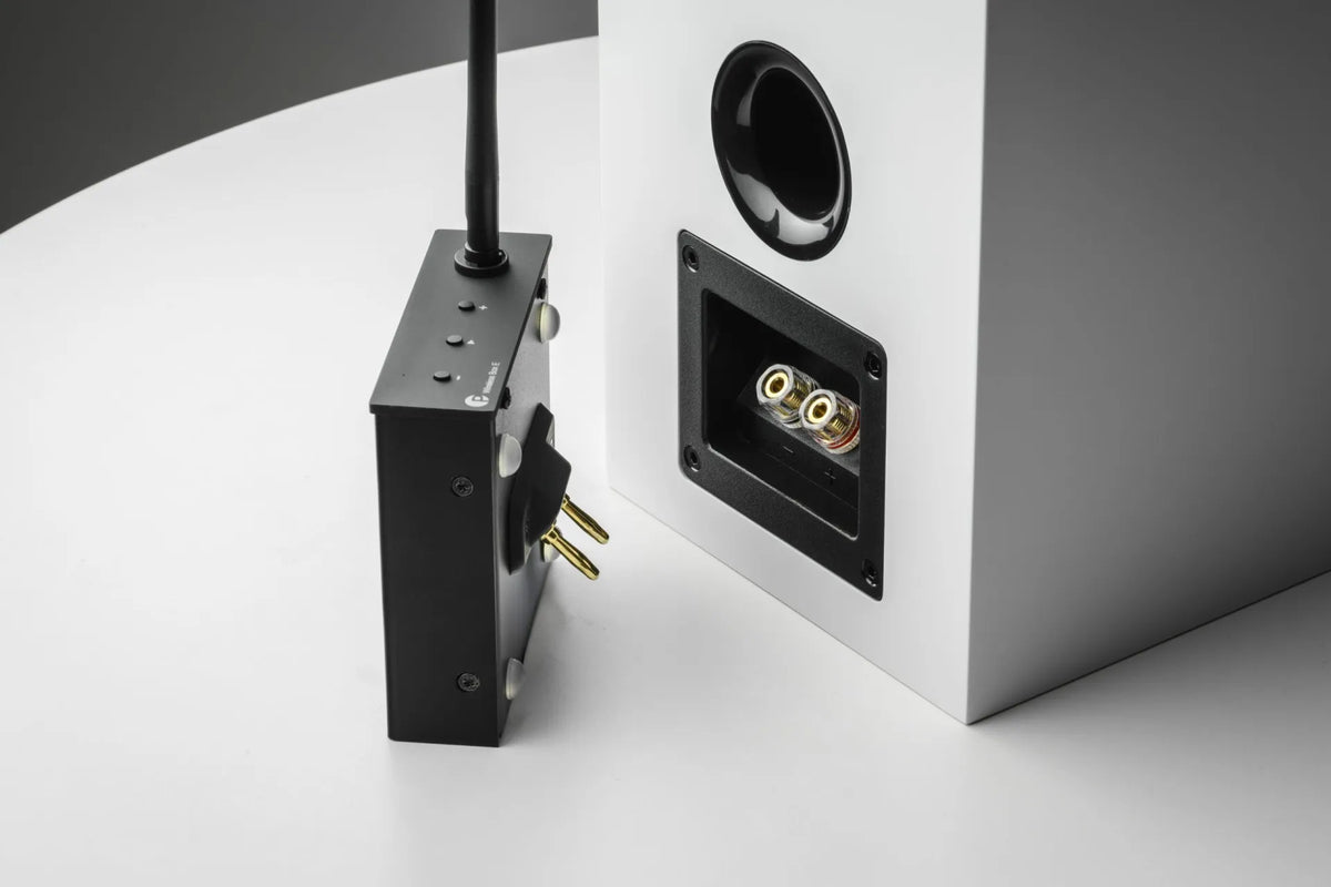Pro-ject WIRELESS BOX E Amplificatore streaming mono compatto che si collega direttamente ai morsetti dei diffusori tramite uscite a banana