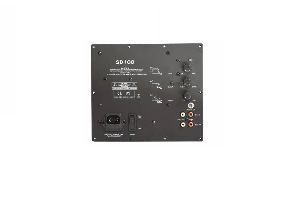 Ciare YSD100 modulo di potenza per Subwoofer da 100W