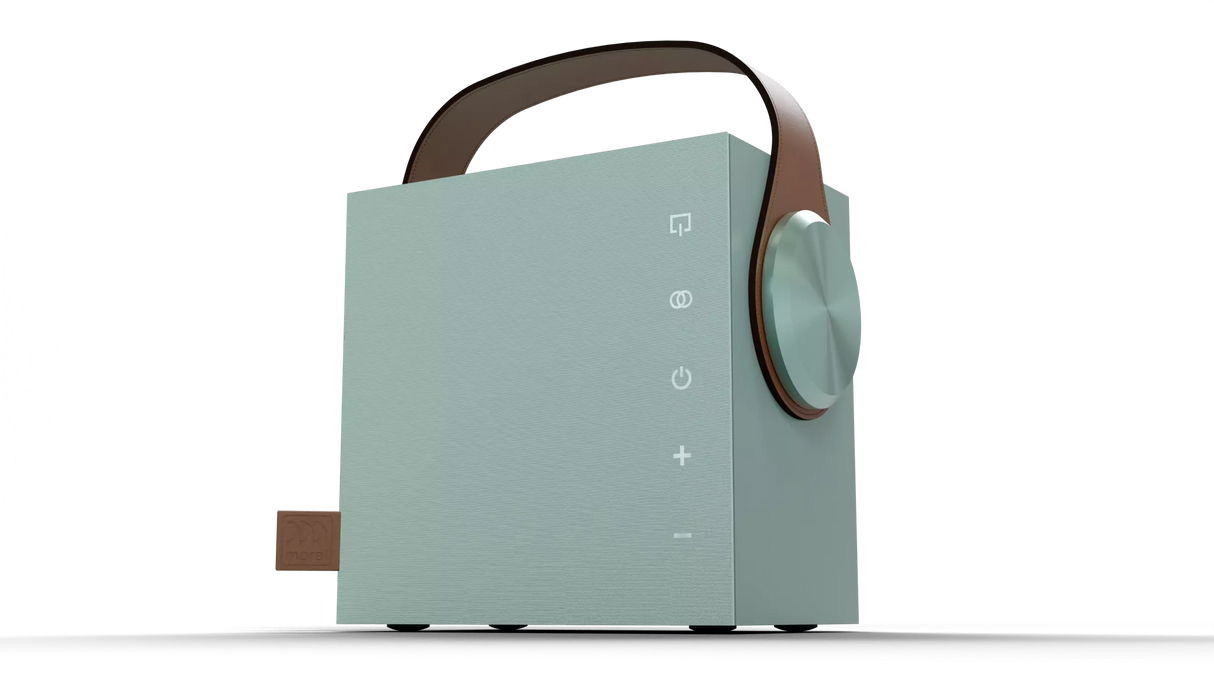 Morel BIGGIE diffusore Hi-fi portatile wireless da 100 mm