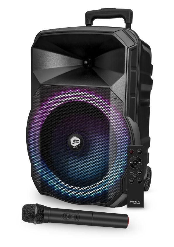 FESTI SOUND PICO 10 Box a led amplificato 300W - TechSoundSystem.com