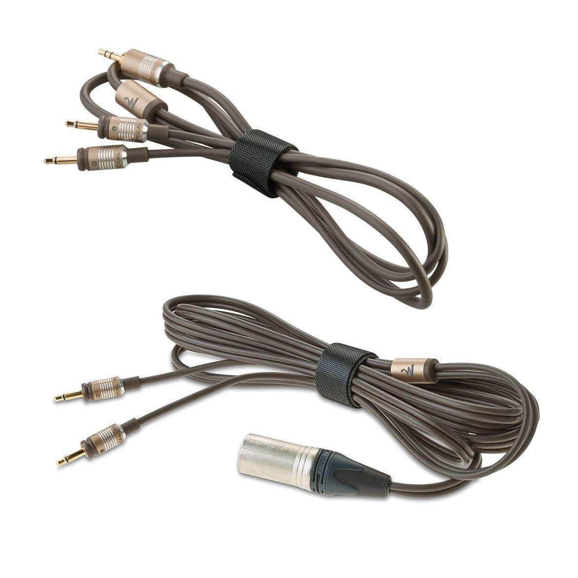 Focal CLEAR MG Cuffia stereo Hi-End aperta, con cupola a forma di 'M' Magnesium da 40mm. Made in France - TechSoundSystem.com