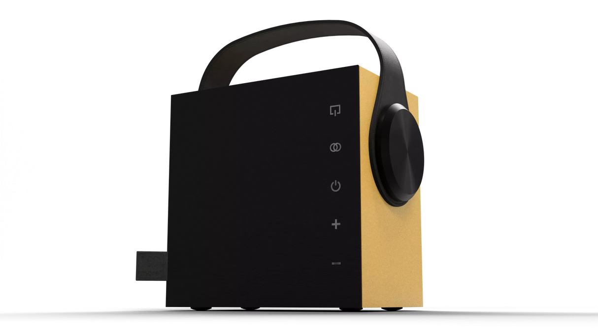 Morel BIGGIE diffusore Hi-fi portatile wireless da 100 mm