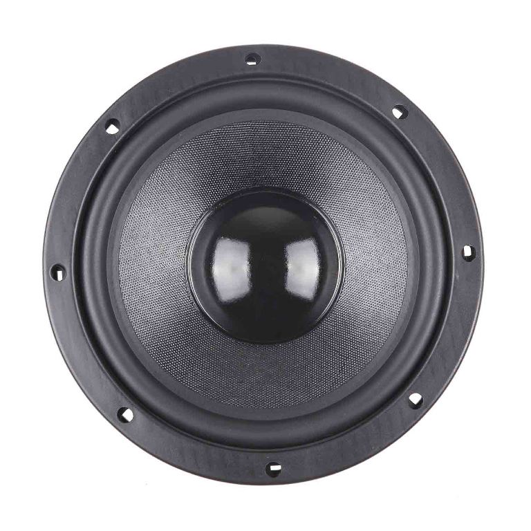Master Audio MA20W4+4 Woofer 210 mm (8") Doppia bobina 4ohm - TechSoundSystem.com