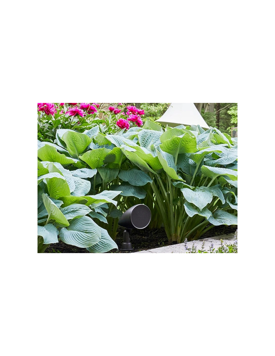 Martin Logan SAT60 coppia di diffusori outdoor 150mm 8 Ohm