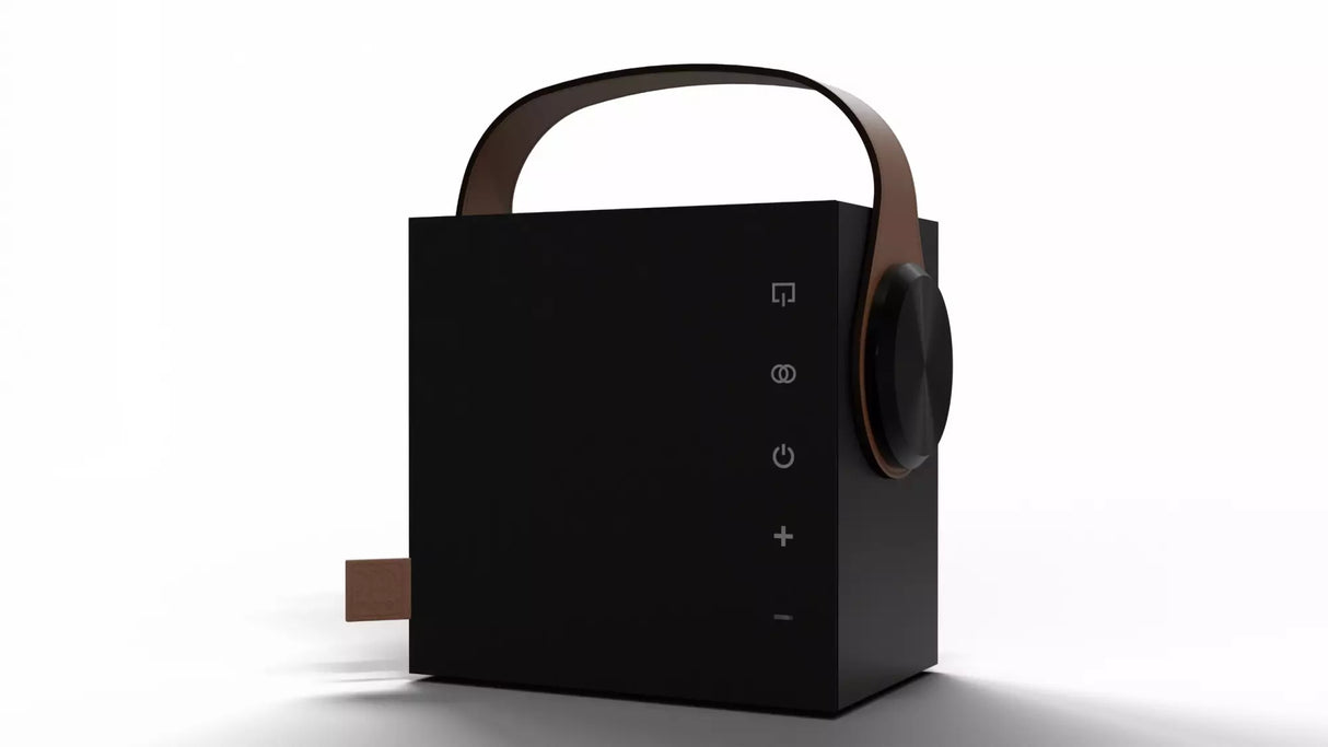 Morel BIGGIE diffusore Hi-fi portatile wireless da 100 mm