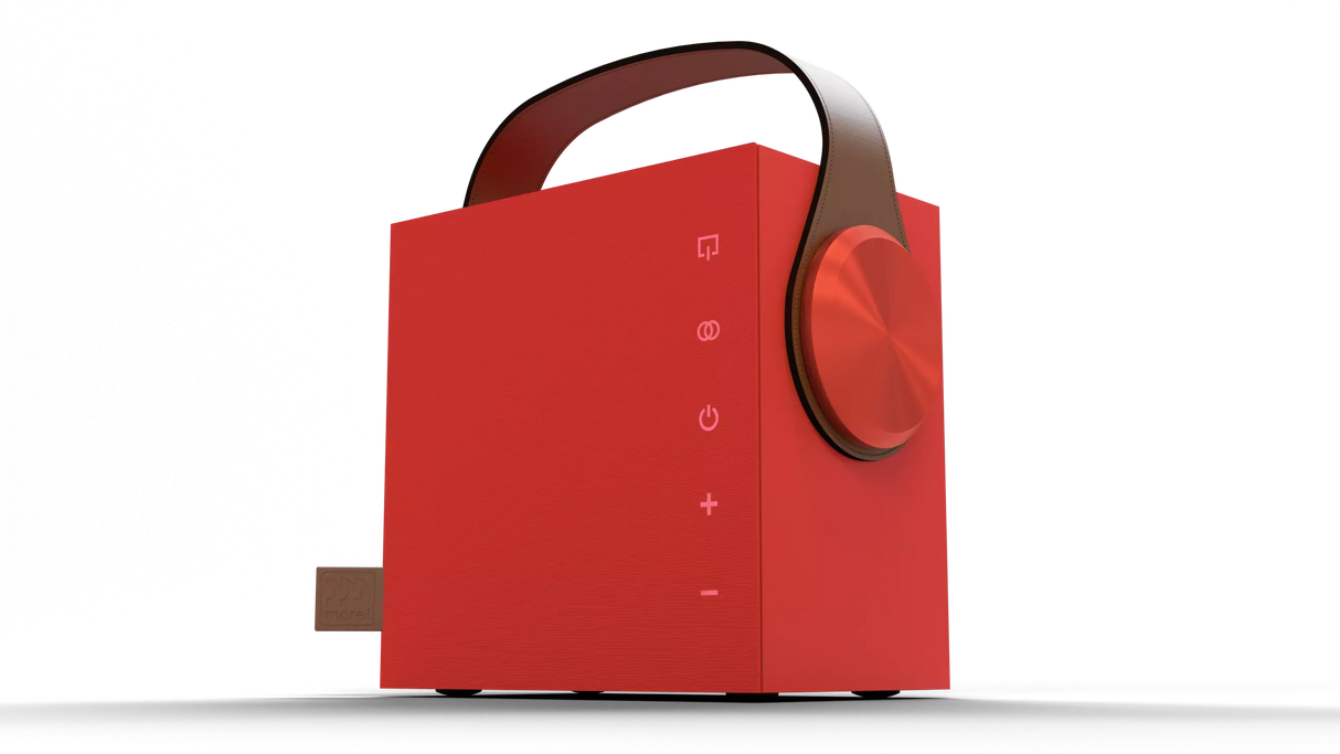 Morel BIGGIE diffusore Hi-fi portatile wireless da 100 mm