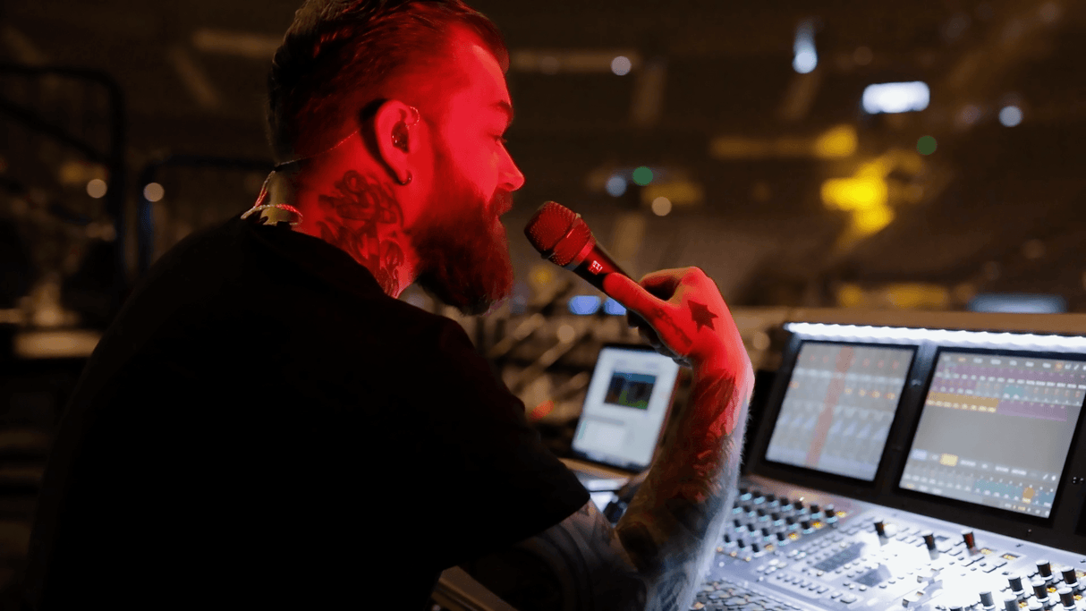 SE ELECTRONICS V7 SWITCH - TechSoundSystem.com