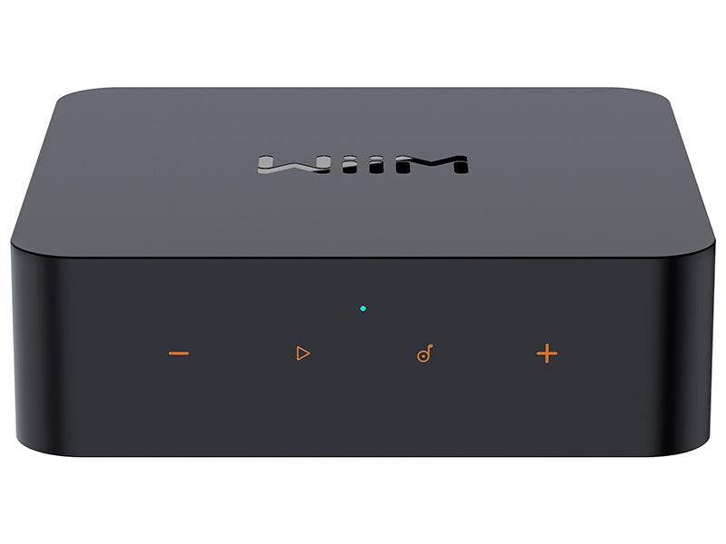 Rotel A-14 MKII SILVER + WIIM PRO PLUS OMAGGIO! Amplificatore Integrato Stereo 2 Canali 80 Watt, PC-USB Con MQA - TechSoundSystem.com