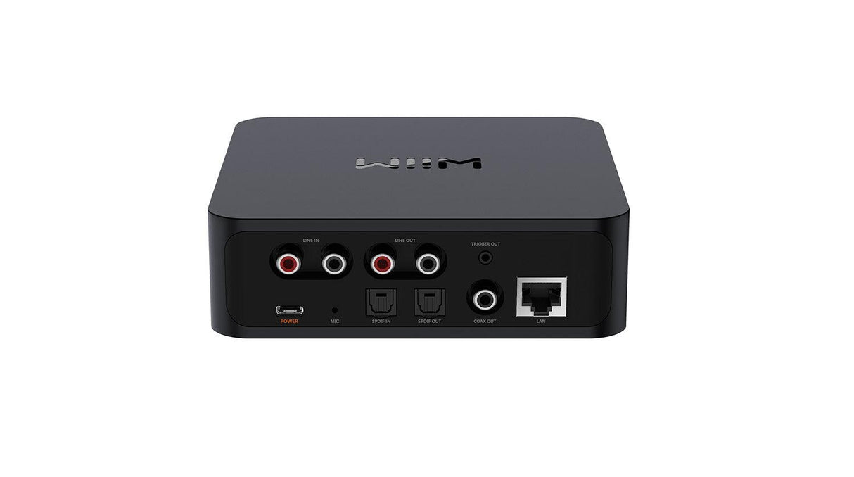 WiiM PRO PLUS Streamer e DAC Audiophile AKM AK4493SEQ, Output 24-bit/192kHz Chromecast audio, WiFi Multiroom - TechSoundSystem.com