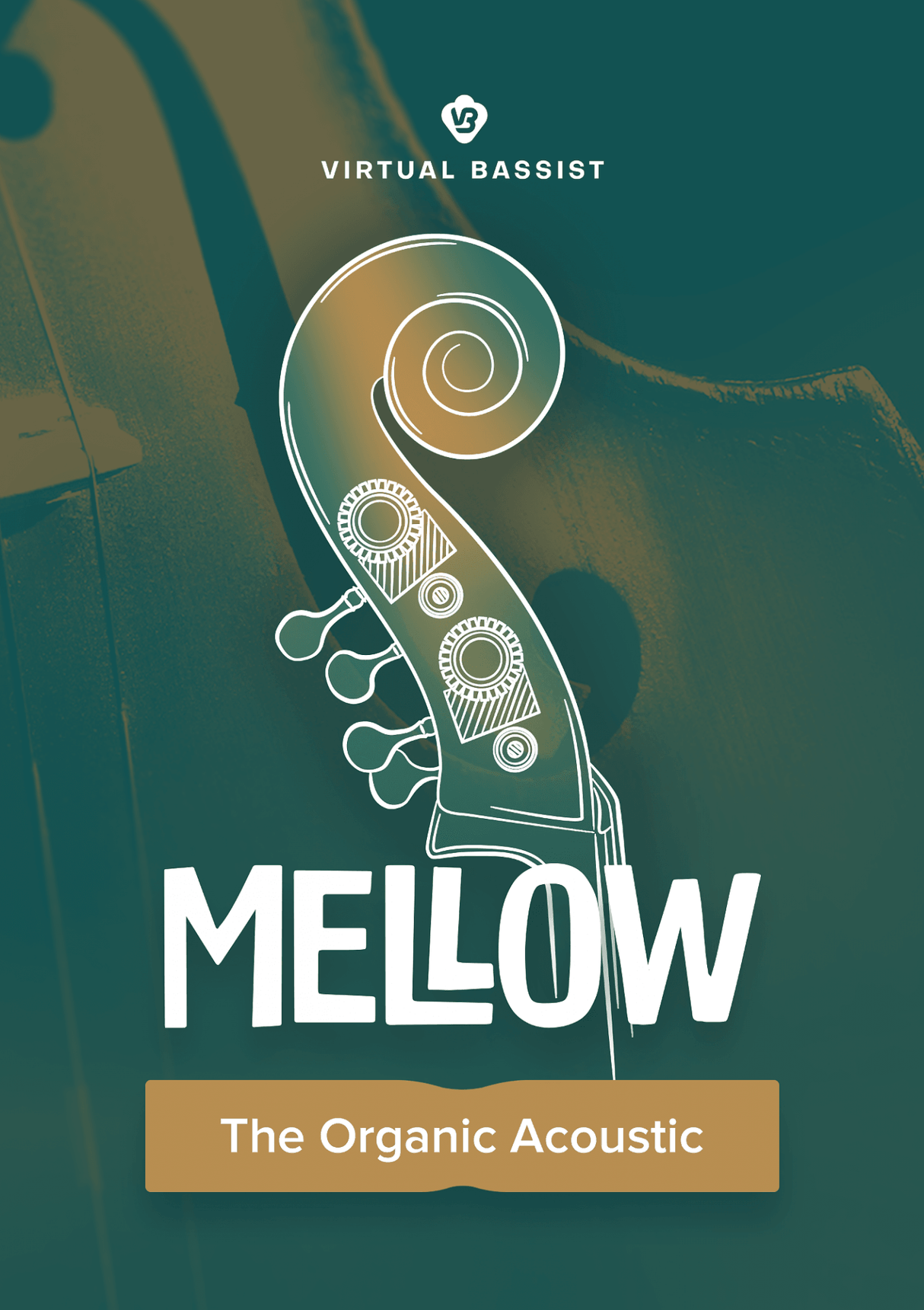 UJAM VB MELLOW PLUG-IN VIRTUAL INSTRUMENTS PER CREARE TRACCE DI CONTRABBASSO - TechSoundSystem.com