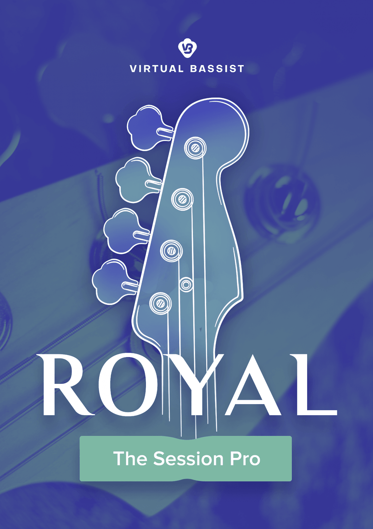 UJAM VB ROYAL PLUG-IN VIRTUAL INSTRUMENTS PER CREARE TRACCE DI BASSO ELETTRICO POP - ROCK - INDIE - TechSoundSystem.com