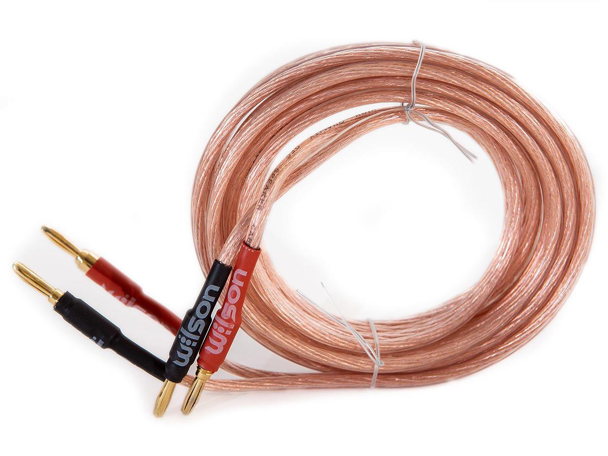 Cavo Altoparlanti HI-FI In Rame Puro 16AWG Con Spine Banana Placcate Oro 24K – Lunghezza 3m, Senza Ossigeno, Per Audio Professionale