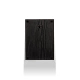 Wilson RAPTOR X Diffusori surround ATMOS 100W (COPPIA) - TechSoundSystem.com