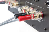 QED PERFORMANCE XT 25 cavo per diffusori PRETERMINATO geometria XTube™ (COPPIA) - TechSoundSystem.com