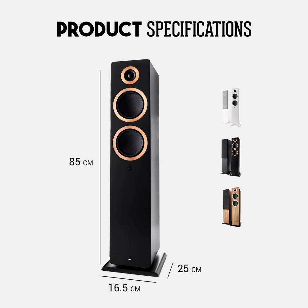 Argon Forte A55 WiFi Diffusori attivi da pavimento 320W