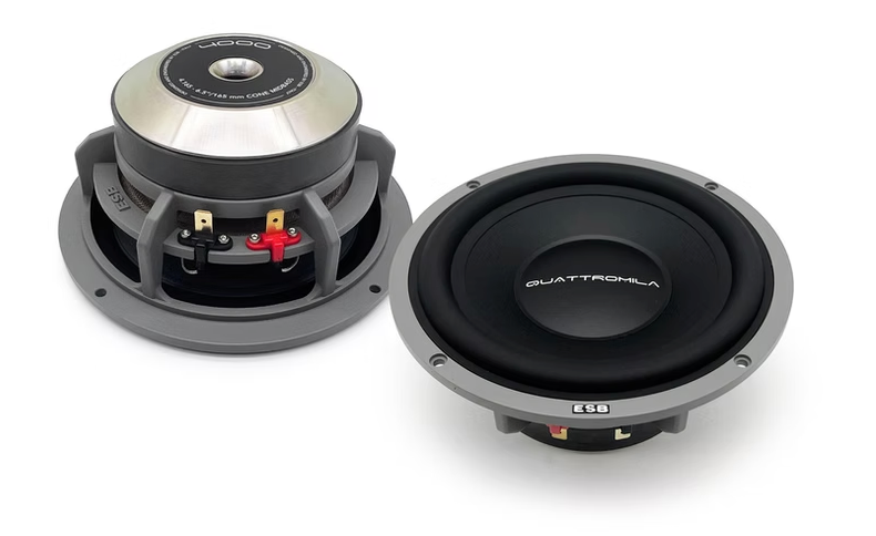 ESB Audio 4.165 coppia di midwoofer high-end da 165 mm 4 Ohm 300W