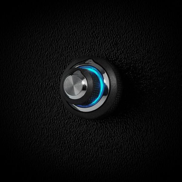 JL Audio DRC-205 controllo remoto digitale per dispositivi JLid™