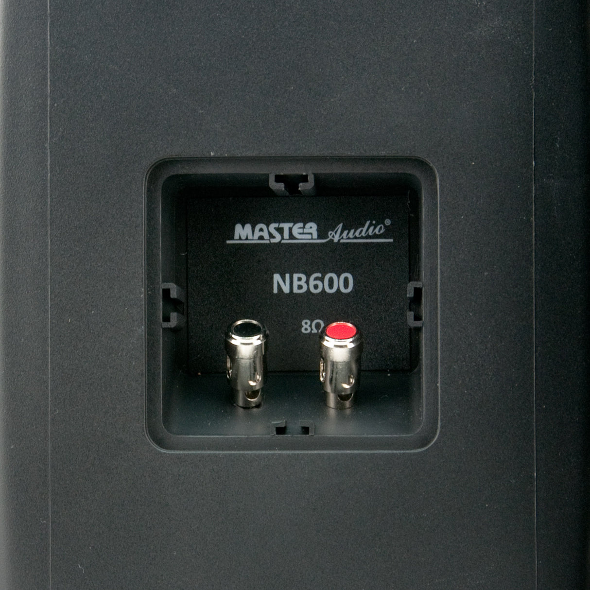 Master Audio NB600B Diffusori da esterno a 2 vie, woofer da 165mm Potenza Max 100 watt (coppia)