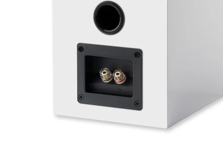 Pro-ject Speaker Box 5 E Carbon woofer 5" tweeter in seta (COPPIA)