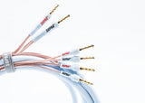 Supra XL ANNORUM BI-WIRE COMBICON coppia di cavi per diffusori Bi-Wire