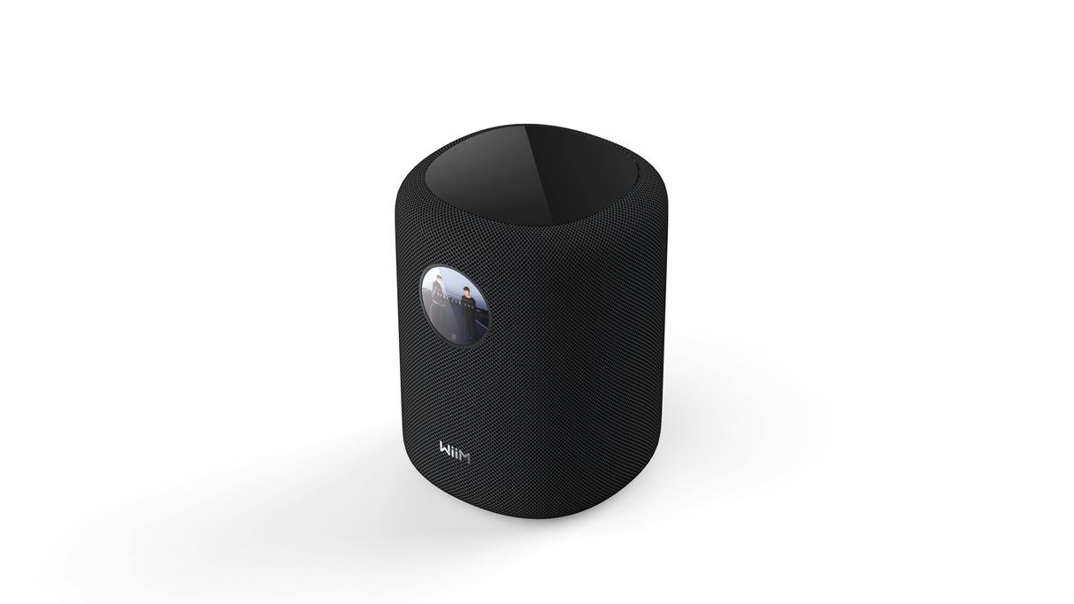 WiiM Sound Diffusore attivo Wi-Fi 6E | Bluetooth 5.3 (SBC, AAC, LD3) | Ethernet | Aux