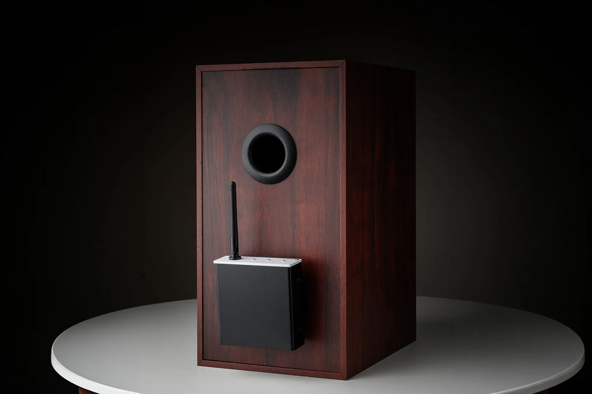 Pro-ject WIRELESS BOX E Amplificatore streaming mono compatto che si collega direttamente ai morsetti dei diffusori tramite uscite a banana