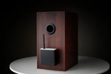 Pro-ject WIRELESS BOX E Amplificatore streaming mono compatto che si collega direttamente ai morsetti dei diffusori tramite uscite a banana