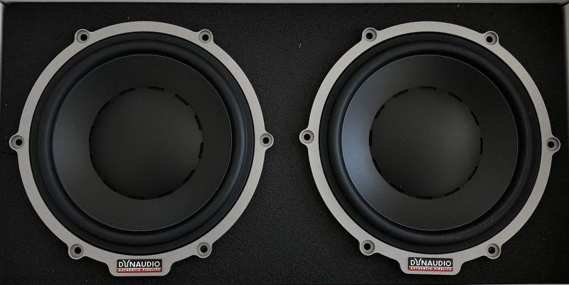 Dynaudio Esotar2 E650 altoparlanti 6.5" (170mm) cono in PHA, 1000W (COPPIA, PAIR) - TechSoundSystem.com