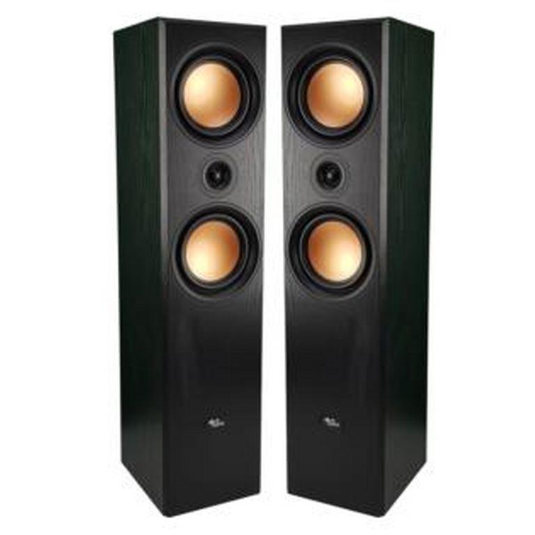 Evidence Acoustics 800PG Coppia Diffusori Da Pavimento HiFi 350W - TechSoundSystem.com