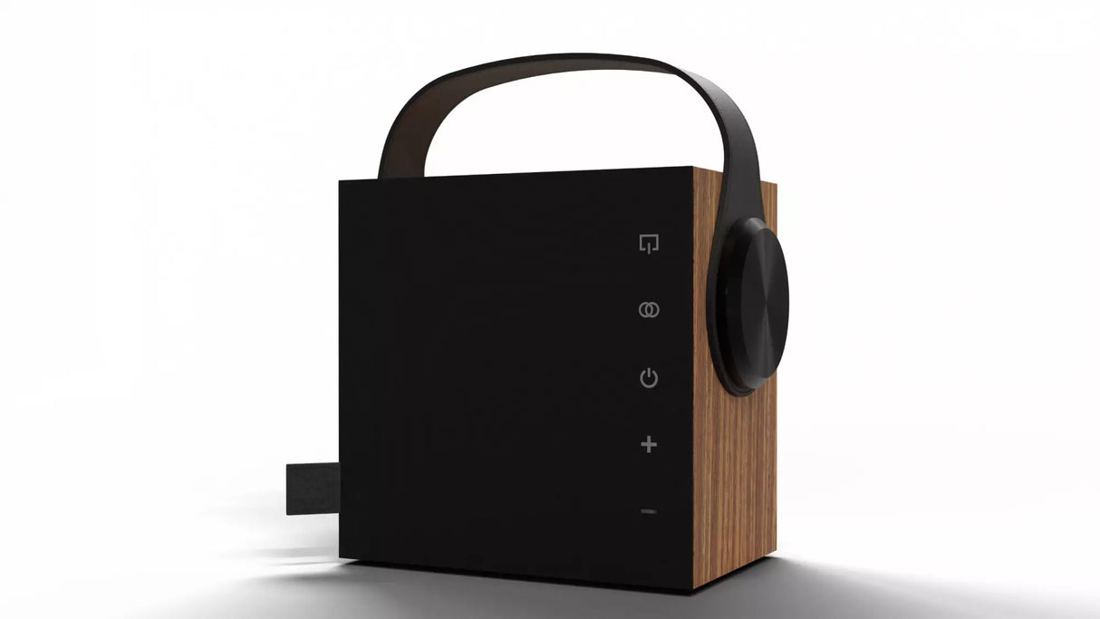Morel BIGGIE diffusore Hi-fi portatile wireless da 100 mm