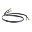 QED PERFORMANCE AUDIO GRAPHITE Cavo RCA/RCA alta qualità con schermatura elettrostatica - TechSoundSystem.com