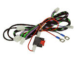 Alpine SWA-150KIT amplificatore specifico Fiat Ducato III, Citroën Maglione II, Peugeot Boxer II - TechSoundSystem.com