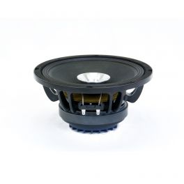 Master Audio CSX10 subwoofer coassiale neodimio 10" (25 cm) con tromba integrata - 1 - Techsoundsystem.com